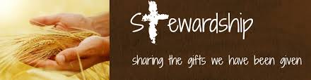 stewardship 1